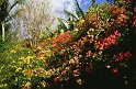 reu96_154 jardin eden